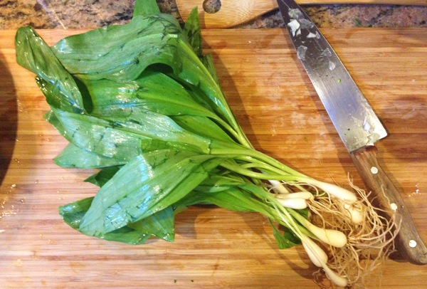 The Fresh Day | What's the Story with Ramps?